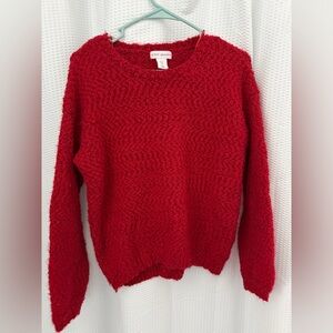 Cozy Red Crew Neck Sweater